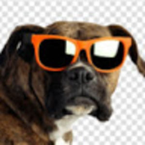 Meet your Posher, Connor